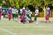 Enlarge photo 431