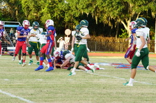 Enlarge photo 434