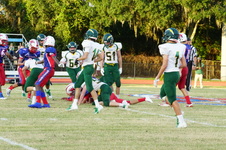 Enlarge photo 433