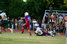 Enlarge photo 445