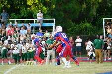 Enlarge photo 451