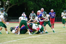 Enlarge photo 455