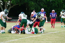 Enlarge photo 457