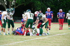 Enlarge photo 456
