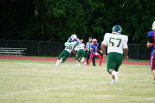 Enlarge photo 473