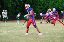 Enlarge photo 482