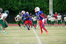 Enlarge photo 483