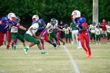 Enlarge photo 484