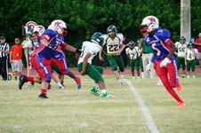 Enlarge photo 486