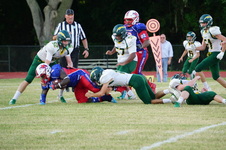 Enlarge photo 490