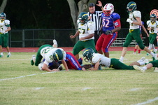 Enlarge photo 491