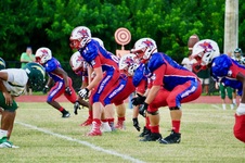 Enlarge photo 492