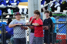 Enlarge photo 528