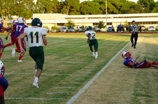 Enlarge photo 534
