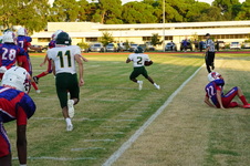 Enlarge photo 533