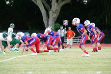Enlarge photo 543