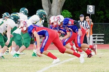 Enlarge photo 545