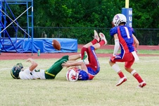 Enlarge photo 556