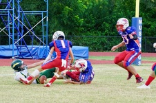 Enlarge photo 557