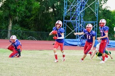 Enlarge photo 560