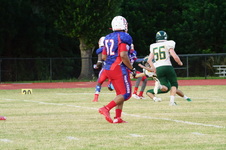 Enlarge photo 585