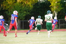 Enlarge photo 593