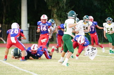 Enlarge photo 629
