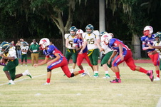 Enlarge photo 699