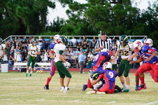 Enlarge photo 705