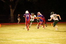 Enlarge photo 979