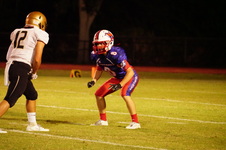 Enlarge photo 44