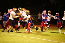 Enlarge photo 45