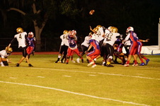 Enlarge photo 56
