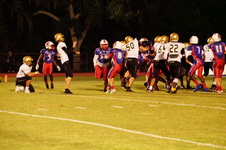 Enlarge photo 58