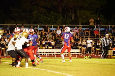 Enlarge photo 91