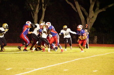 Enlarge photo 115