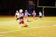 Enlarge photo 165