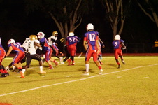Enlarge photo 169