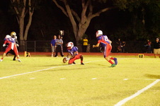Enlarge photo 207