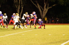 Enlarge photo 210