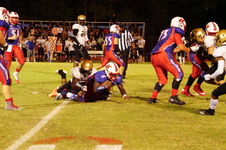 Enlarge photo 233