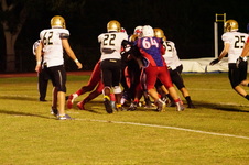 Enlarge photo 298