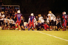 Enlarge photo 348