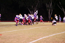 Enlarge photo 478