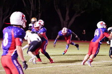 Enlarge photo 516