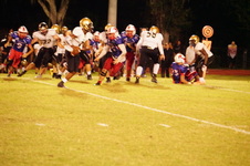 Enlarge photo 797