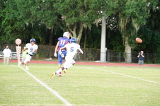 Enlarge photo 53