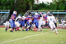 Enlarge photo 59