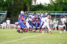 Enlarge photo 62