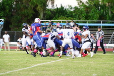 Enlarge photo 61